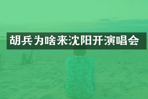 胡兵为啥来沈阳开演唱会