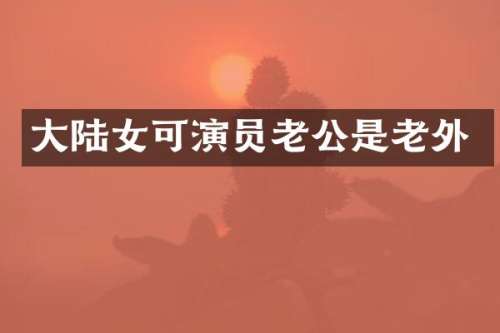 大陆女可演员老公是老外
