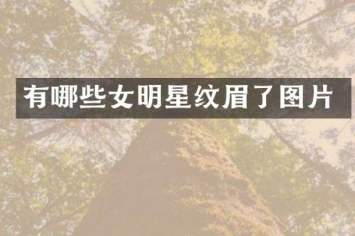 有哪些女明星纹眉了图片