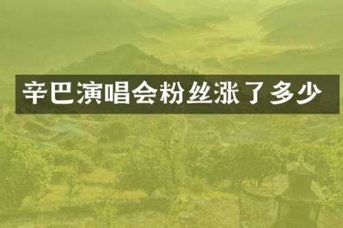 辛巴演唱会粉丝涨了多少