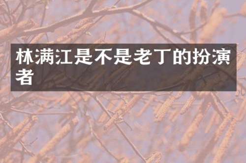 林满江是不是老丁的扮演者