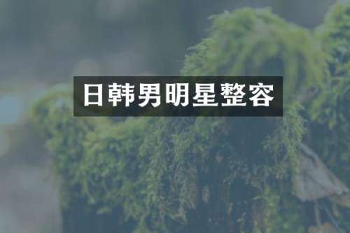 日韩男明星整容