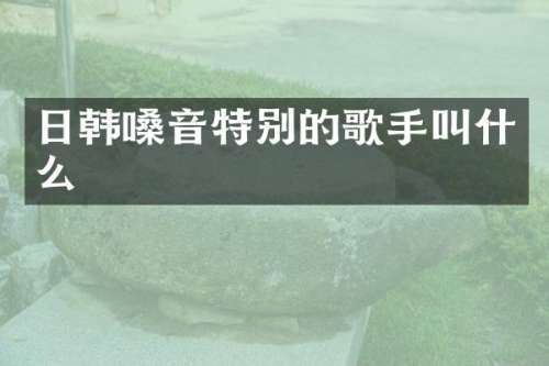 日韩嗓音特别的歌手叫什么