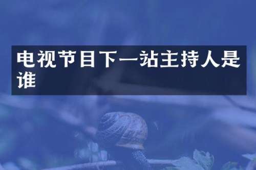 电视节目下一站主持人是谁