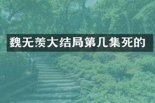魏无羡大结局第几集死的