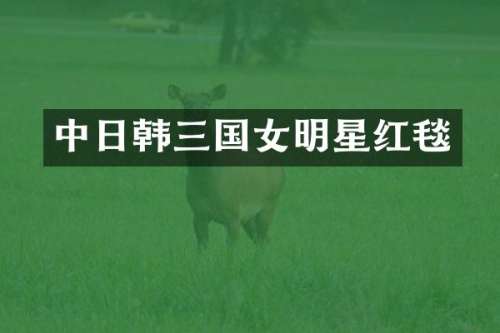 中日韩三国女明星红毯