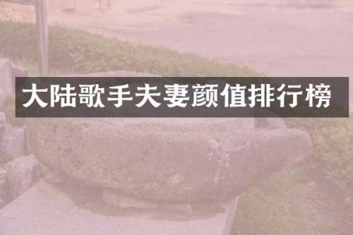 大陆歌手夫妻颜值排行榜