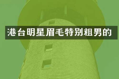 港台明星眉毛特别粗男的