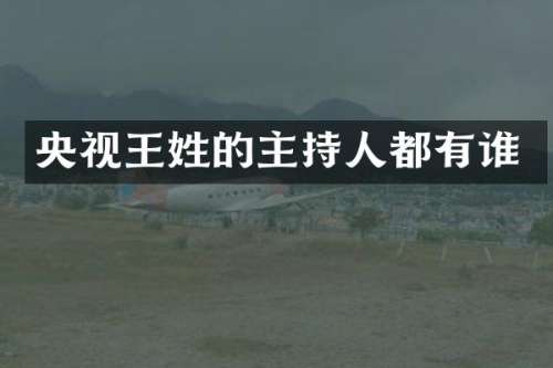 央视王姓的主持人都有谁
