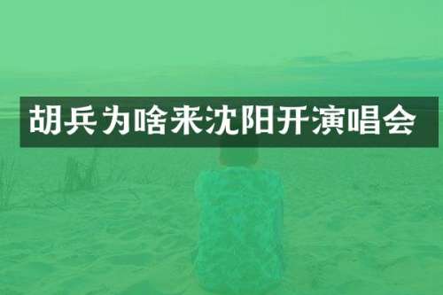 胡兵为啥来沈阳开演唱会