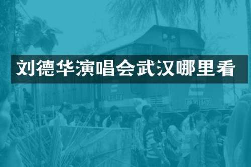刘德华演唱会武汉哪里看