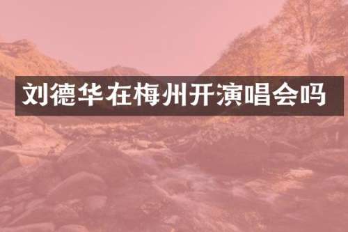 刘德华在梅州开演唱会吗