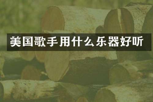 美国歌手用什么乐器好听