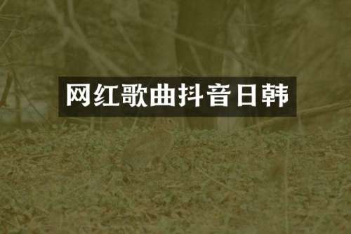 网红歌曲抖音日韩