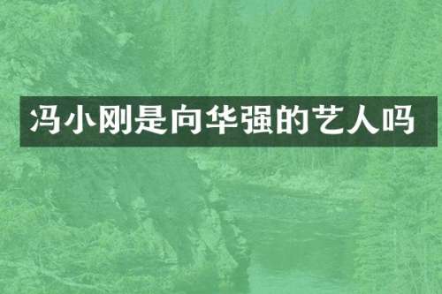 冯小刚是向华强的艺人吗
