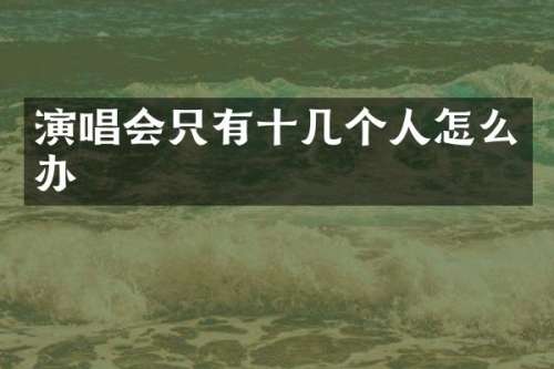 演唱会只有十几个人怎么办
