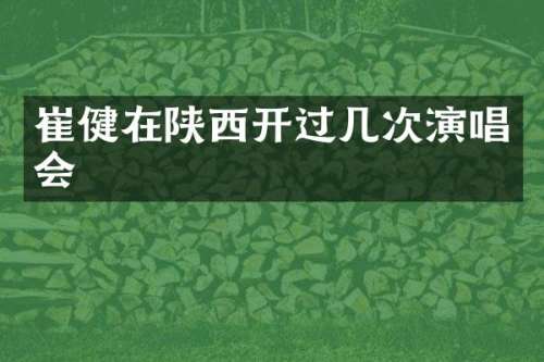 崔健在陕西开过几次演唱会