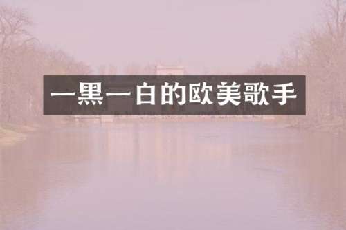 一黑一白的欧美歌手