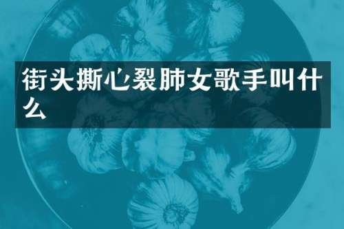 街头撕心裂肺女歌手叫什么