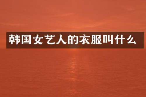 韩国女艺人的衣服叫什么