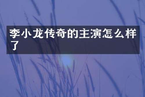 李小龙传奇的主演怎么样了