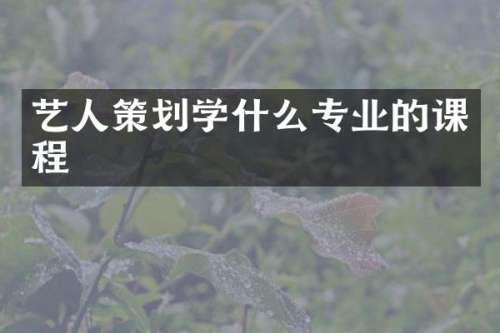 艺人策划学什么专业的课程