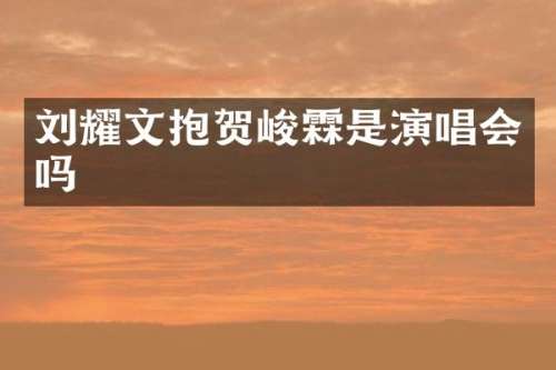 刘耀文抱贺峻霖是演唱会吗