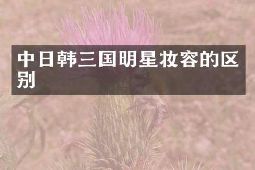 中日韩三国明星妆容的区别