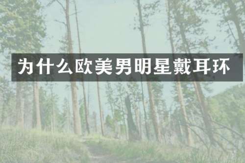 为什么欧美男明星戴耳环