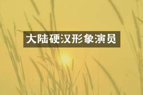 大陆硬汉形象演员