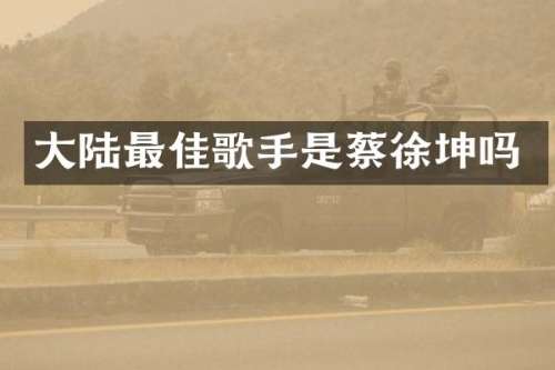 大陆最佳歌手是蔡徐坤吗