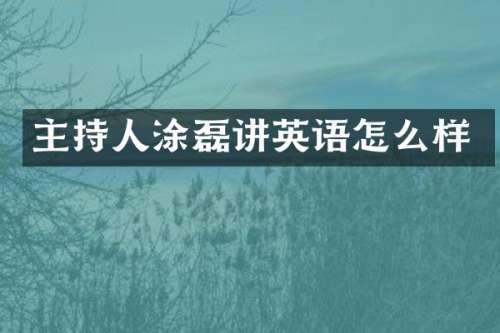 主持人涂磊讲英语怎么样