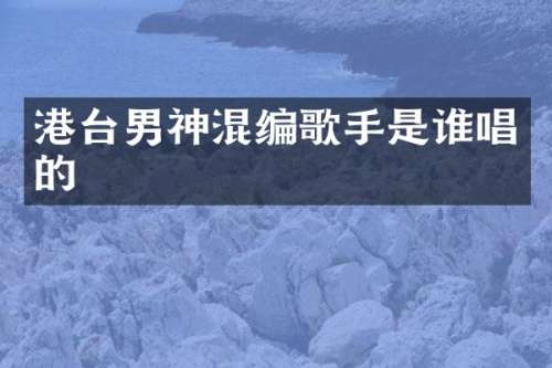 港台男神混编歌手是谁唱的