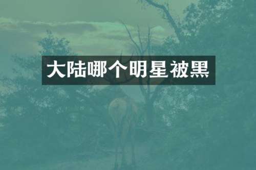 大陆哪个明星被黑