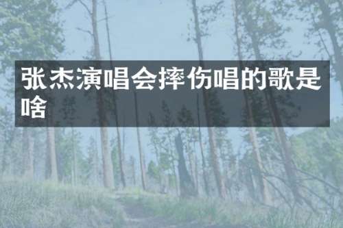 张杰演唱会摔伤唱的歌是啥