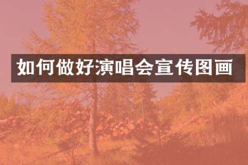 如何做好演唱会宣传图画