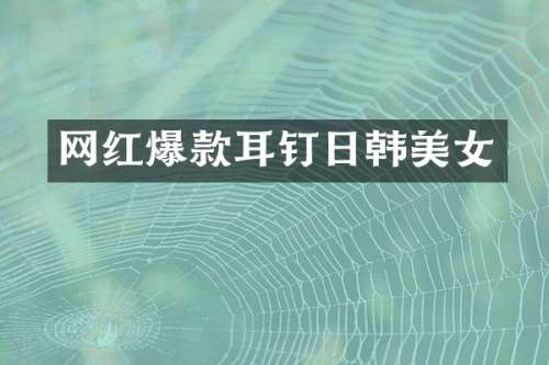 网红爆款耳钉日韩