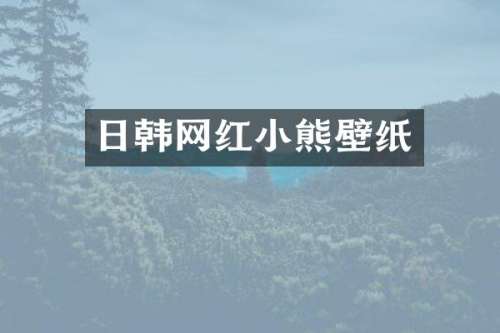 日韩网红小熊壁纸