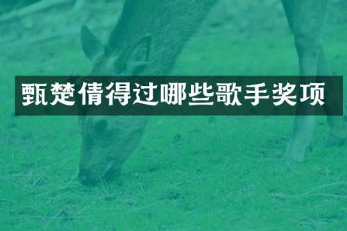 甄楚倩得过哪些歌手奖项