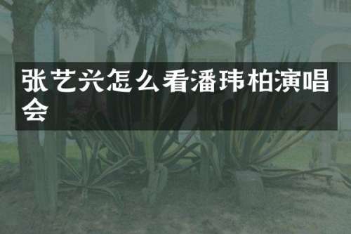 张艺兴怎么看潘玮柏演唱会