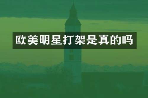 欧美明星打架是真的吗