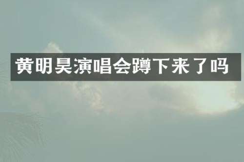 黄明昊演唱会蹲下来了吗