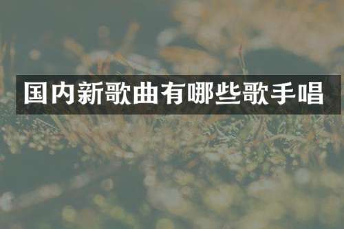 国内新歌曲有哪些歌手唱