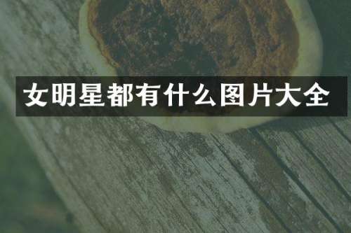 女明星都有什么图片大全
