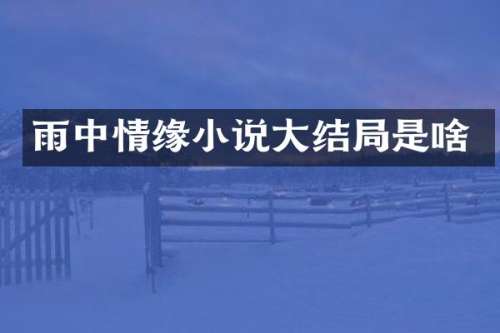 雨中情缘小说大结局是啥