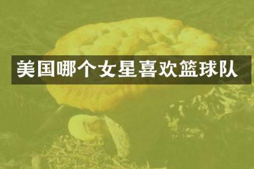 美国哪个女星喜欢篮球队