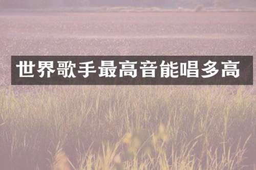 世界歌手最高音能唱多高