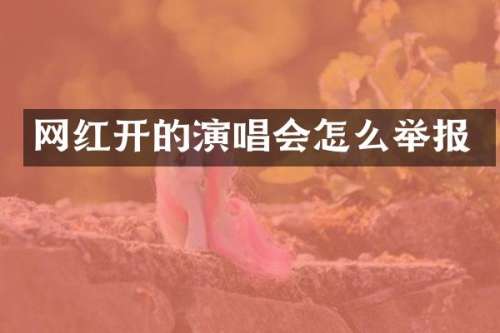 网红开的演唱会怎么举报