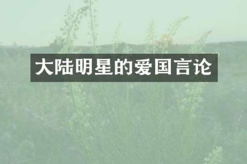 大陆明星的爱国言论