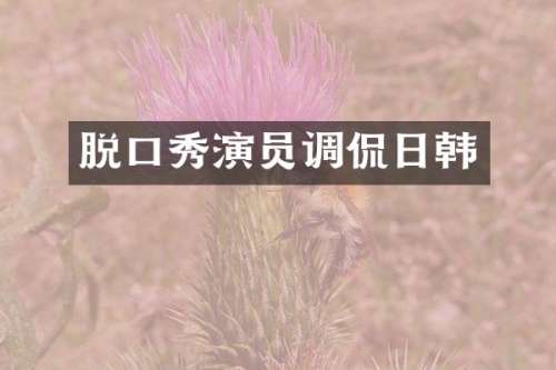 脱口秀演员调侃日韩